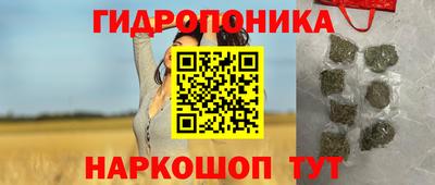 хмурый Малгобек