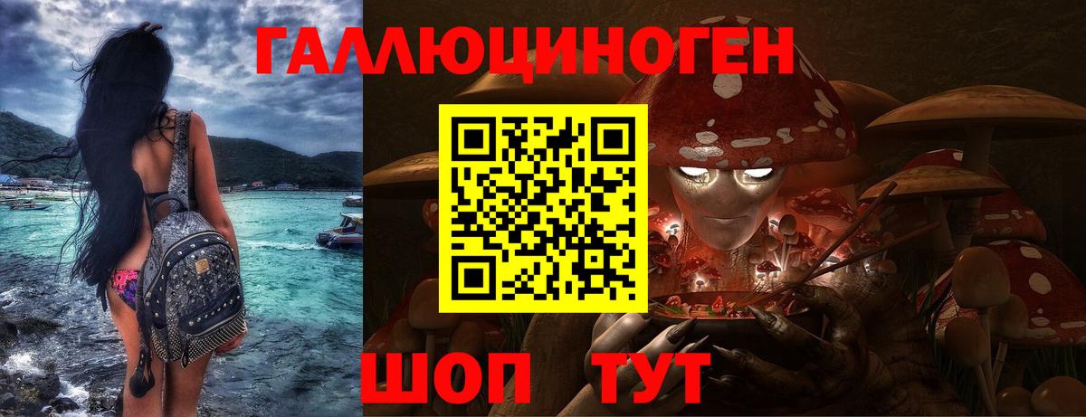 Гусиноозёрск  Псилоцибиновые грибы Psilocybine cubensis  Вход с VPN 