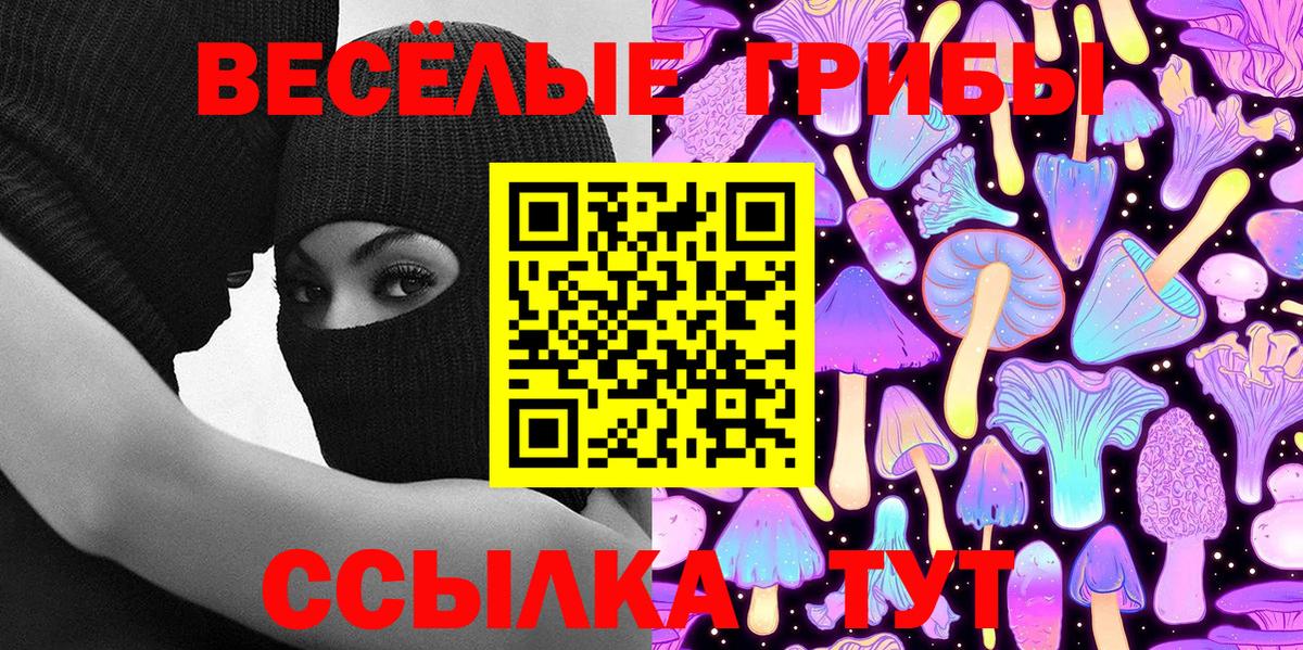 Галлюциногенные грибы прущие грибы Гусиноозёрск
